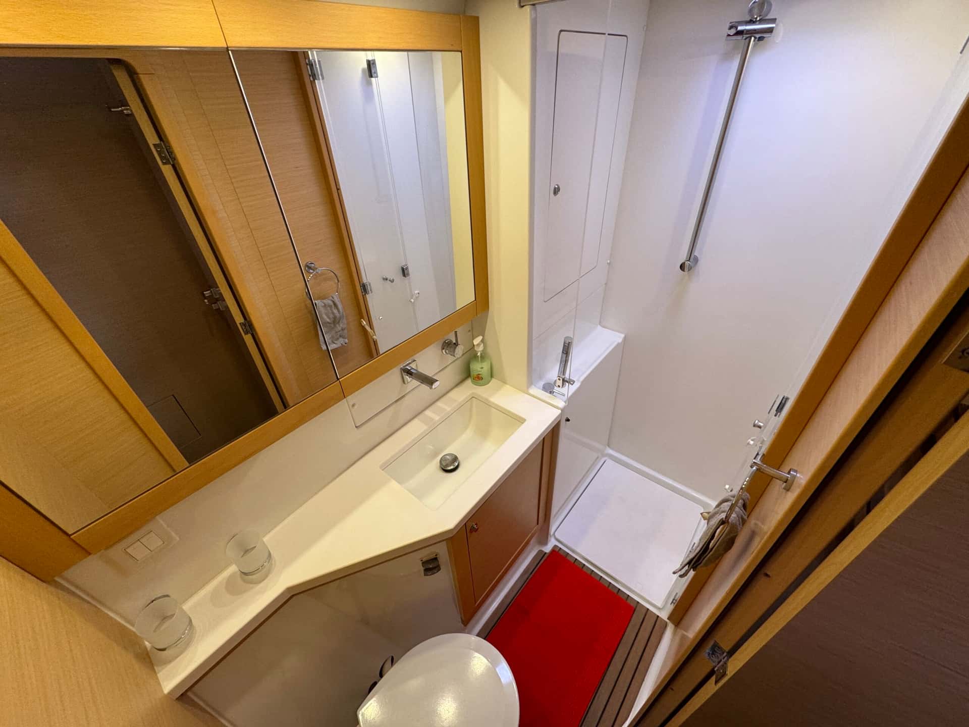 LAGOON 450F - miniatura 16