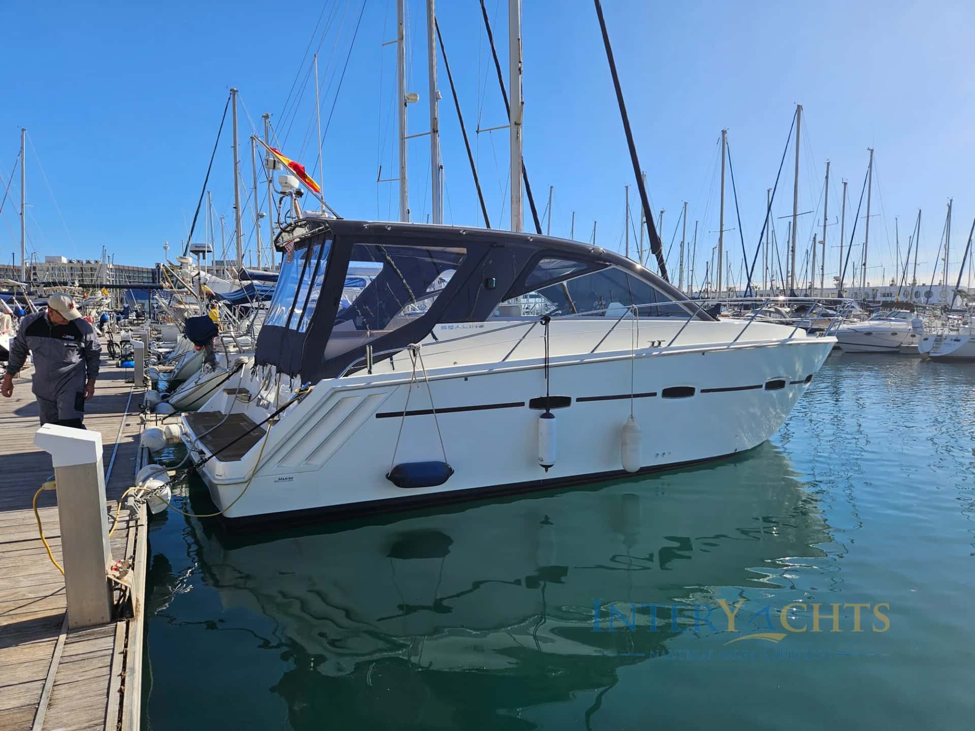 Sealine SC35 - miniatura 2