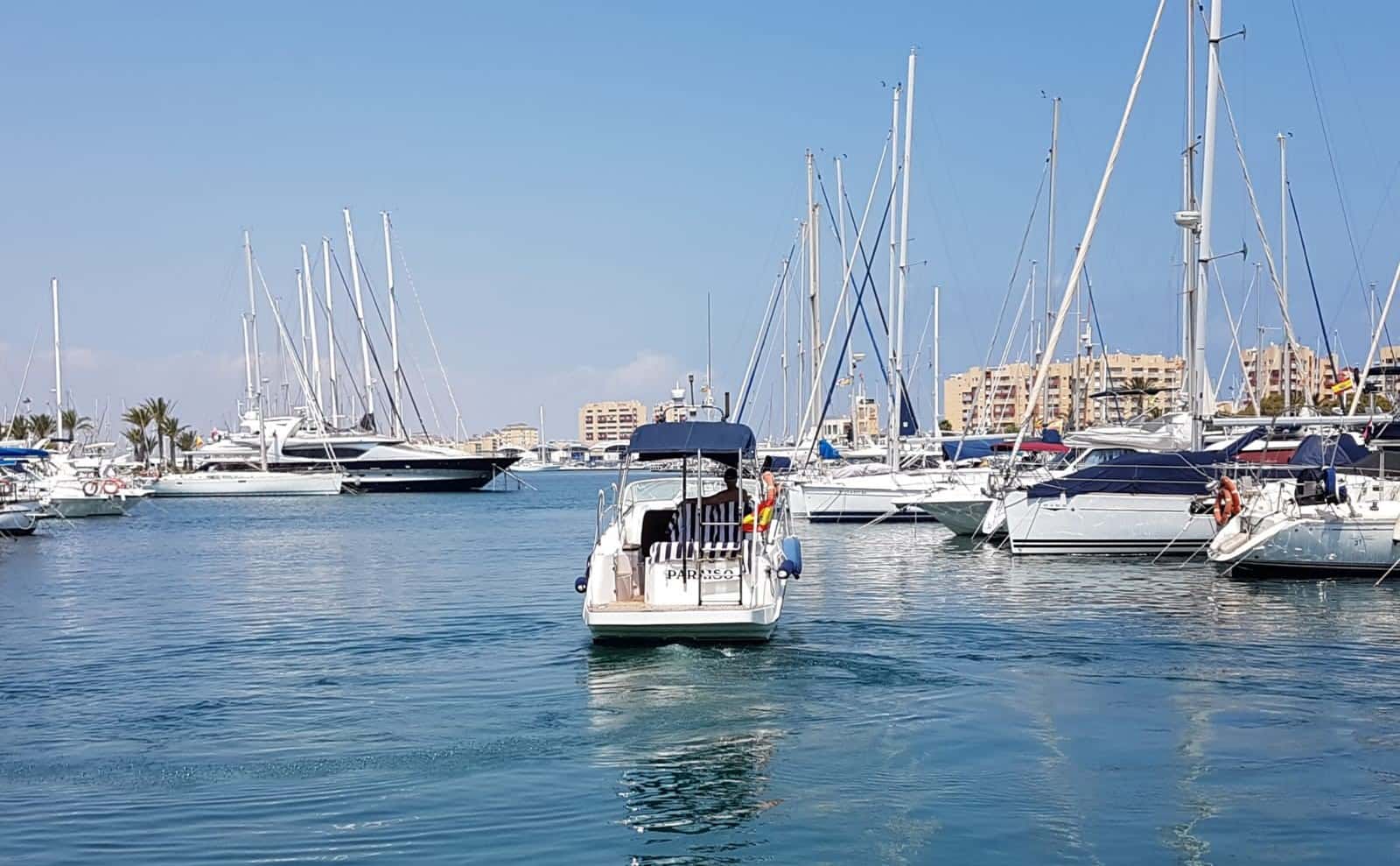 SEALINE S23 - miniatura 2