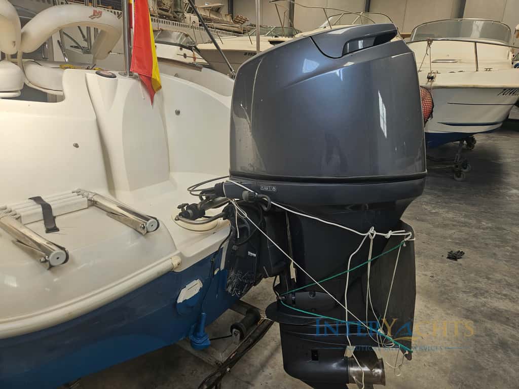 Quicksilver 555 Cruiser - miniatura 6