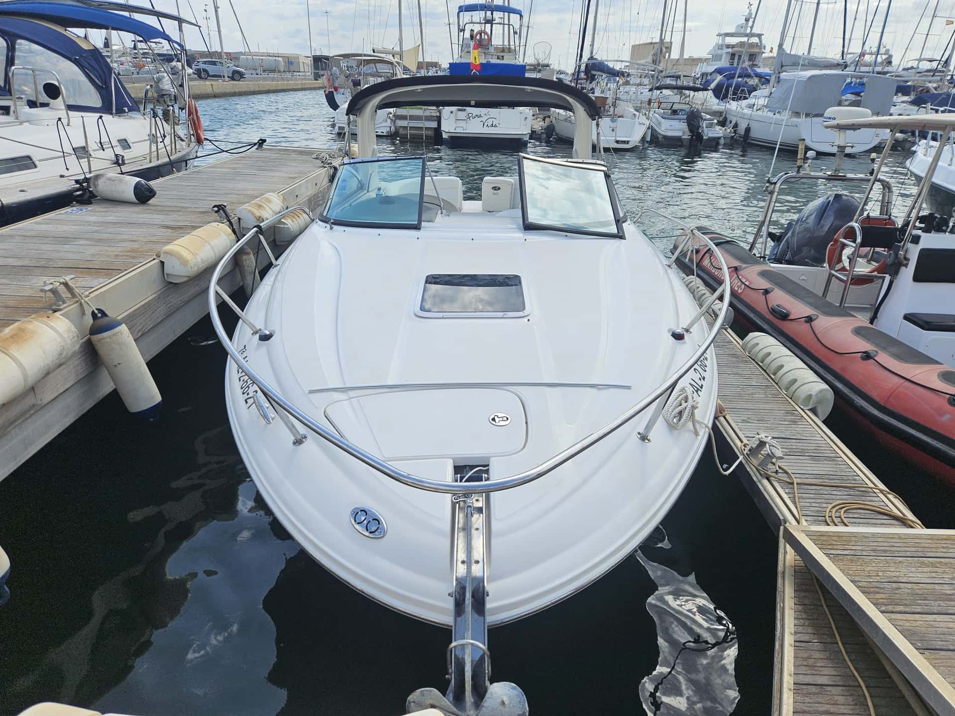 Sea Ray 290 SS - miniatura 2