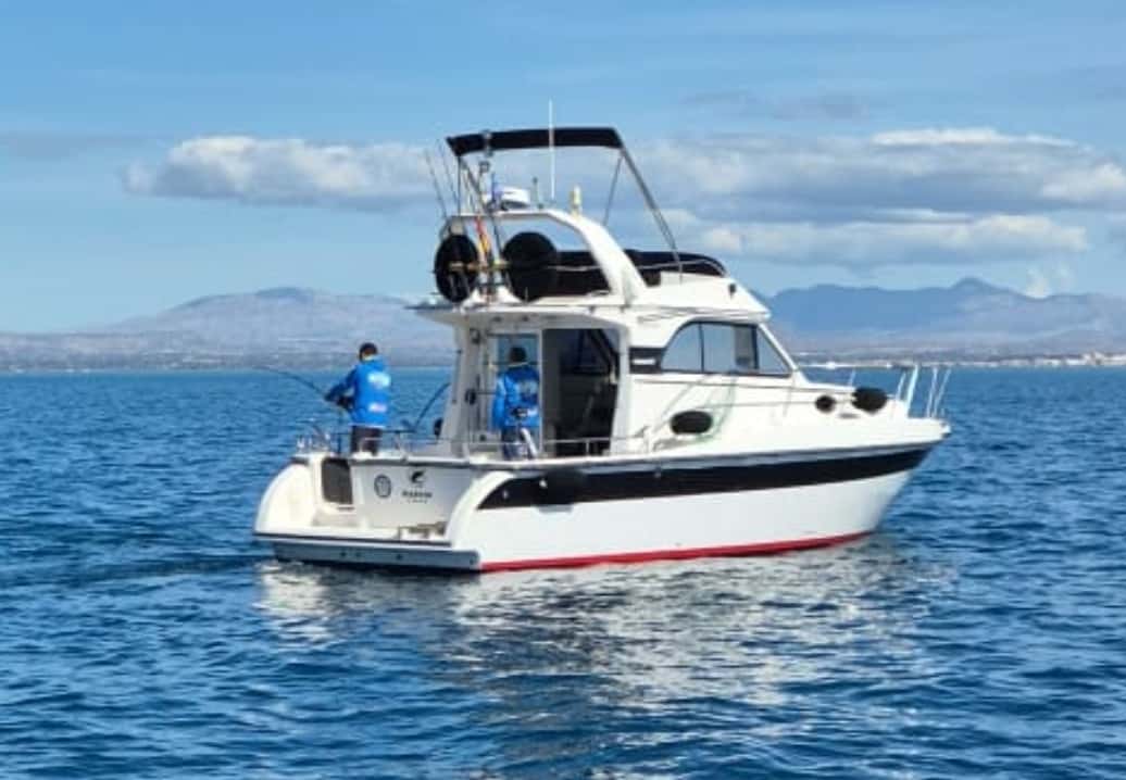 Doqueve 360 - miniatura 2