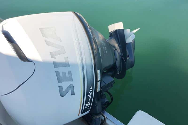 Selva F.6.5 Cabin Plus - miniatura 11