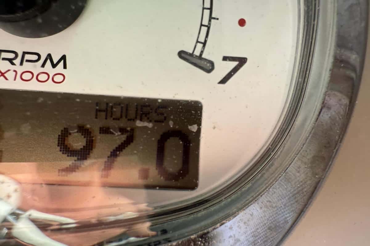 Marion 25 - miniatura 4