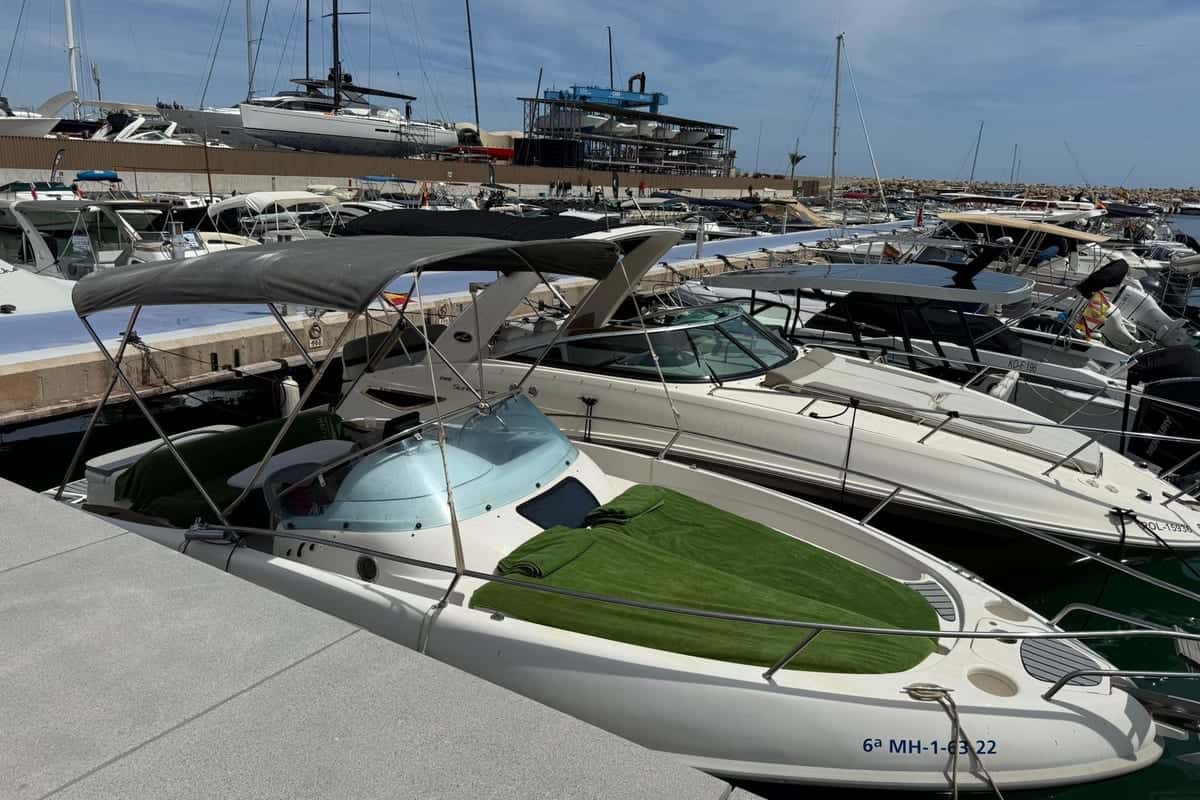 RIO 750 Day Cruiser - miniatura 7