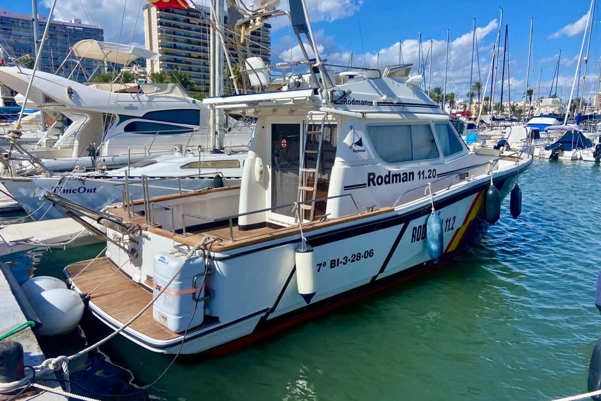 Rodman 1120 - miniatura 2