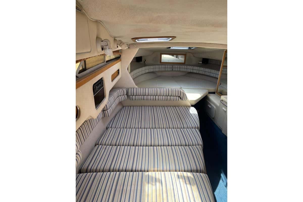 Sea Ray 290 Sundancer - miniatura 8