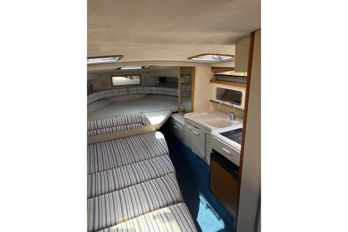 Sea Ray 290 Sundancer - miniatura 6