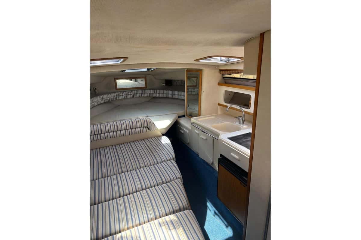 Sea Ray 290 Sundancer - miniatura 5