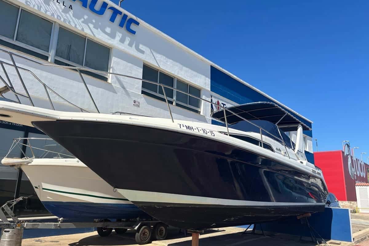 Sea Ray 290 Sundancer - miniatura 2