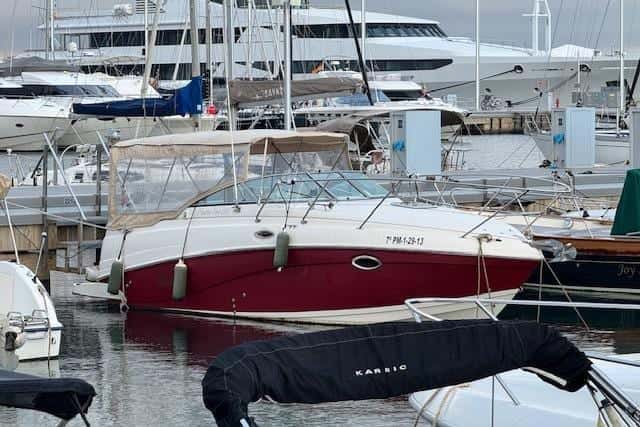 Rinker Fiesta Vee 250