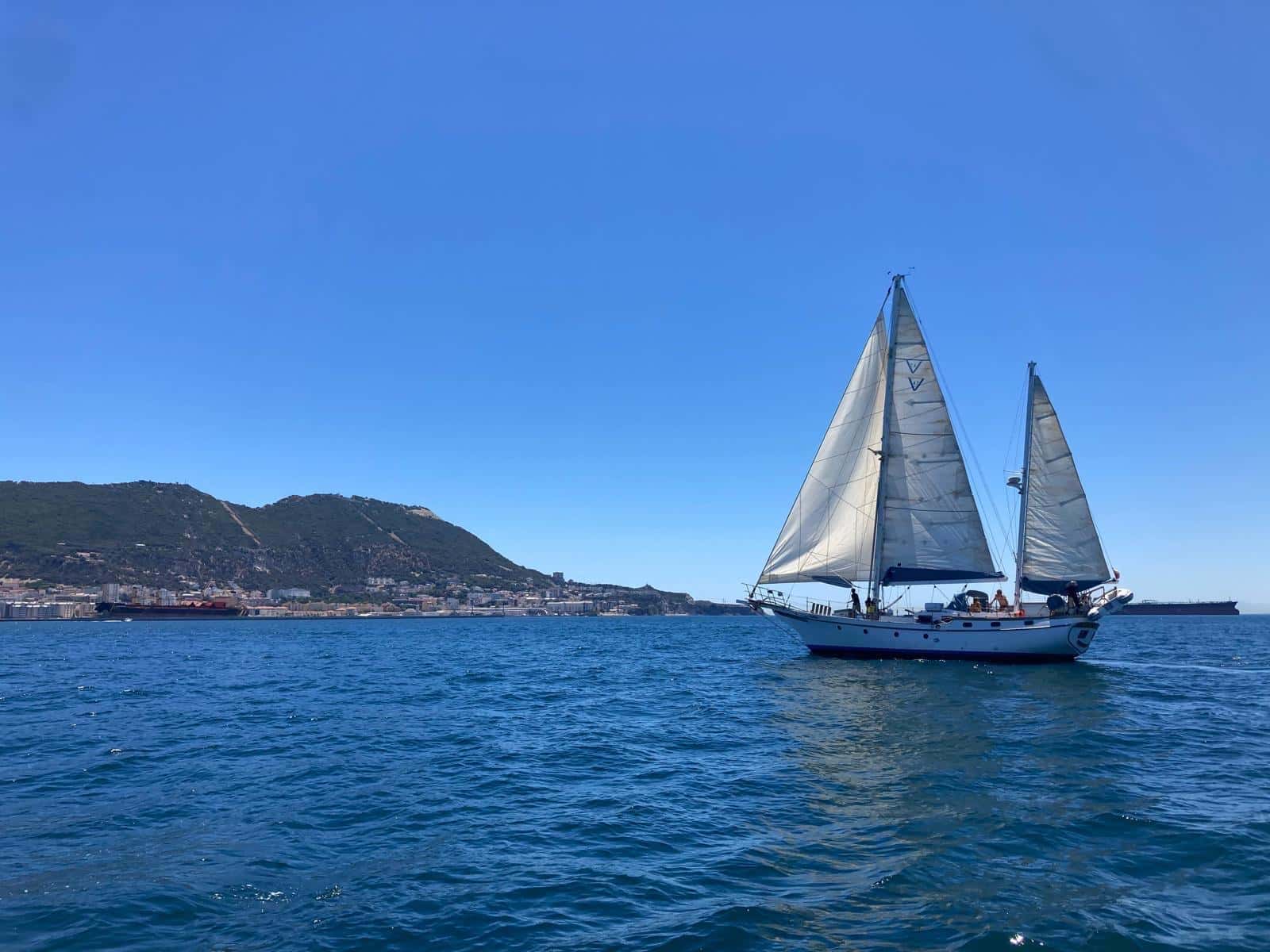 Vagabond 47 - miniatura 3