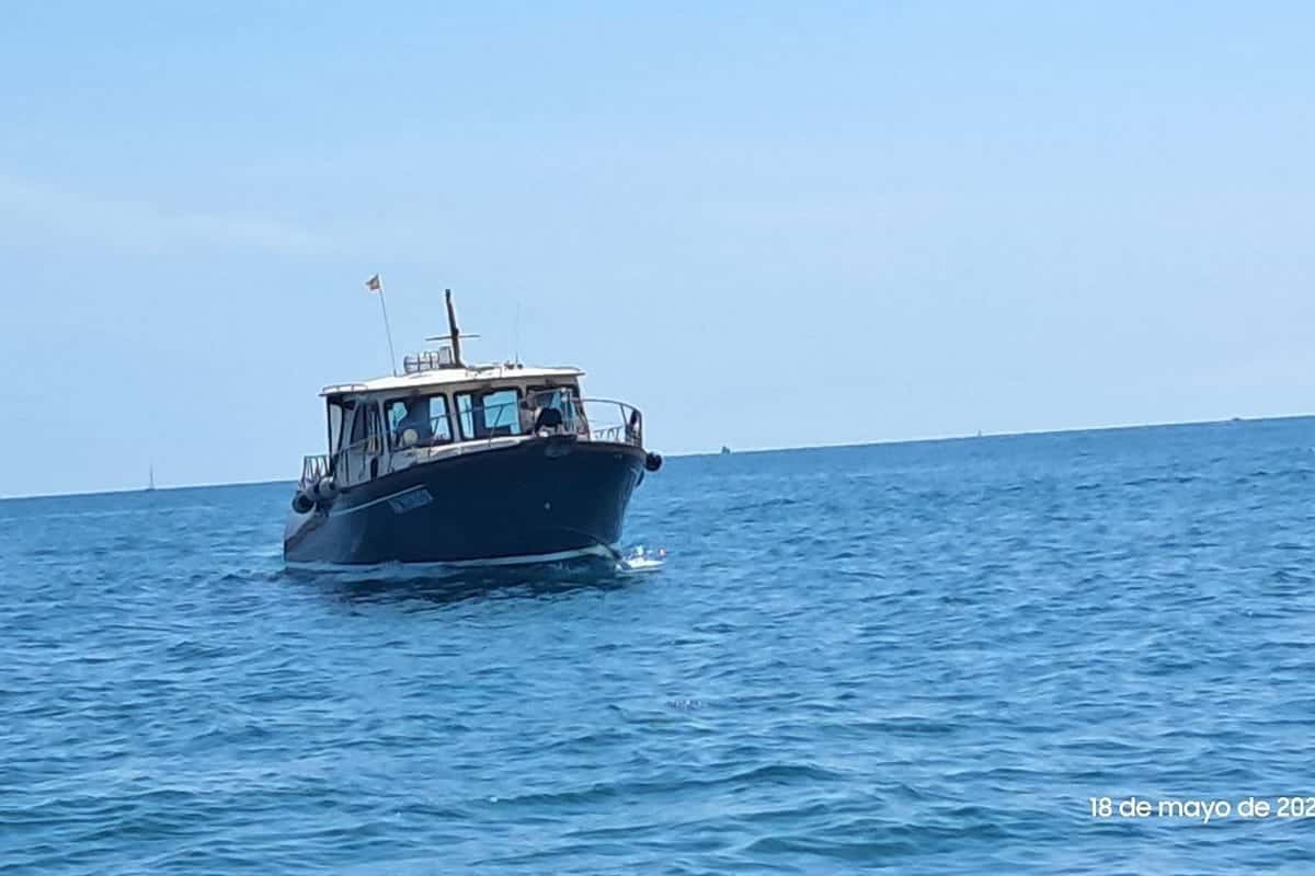 Austin Parker 42 LOBSTER - miniatura 3