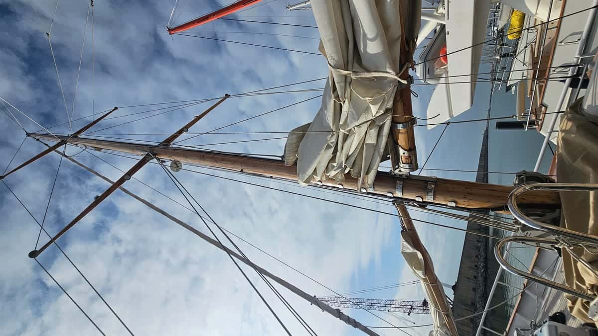 BRUMA YCA - miniatura 15