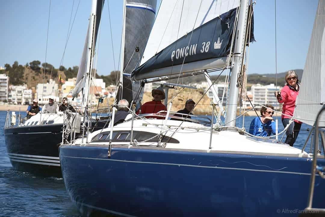 DIVA 38 QUIFFEL - miniatura 8