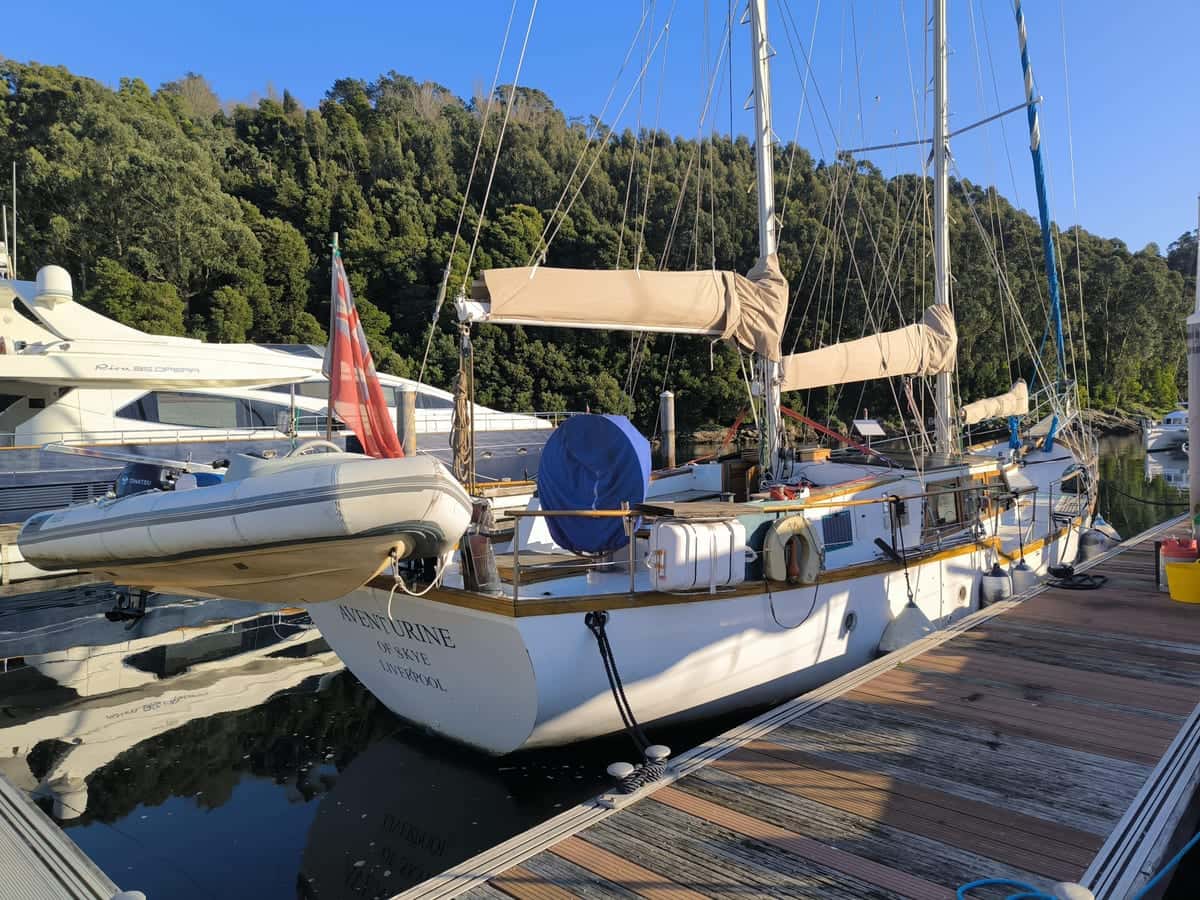 Samson C Baron 55 - miniatura 3