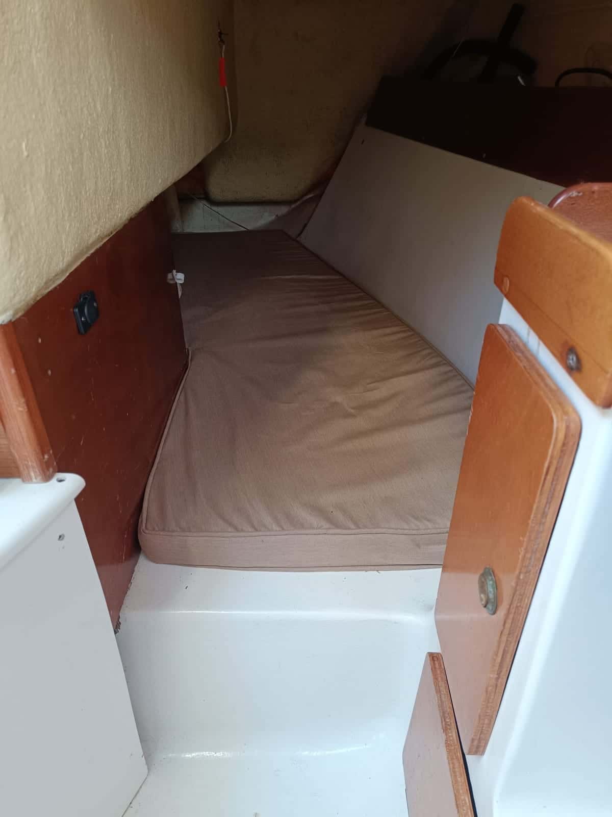 Astraea 260 - miniatura 10