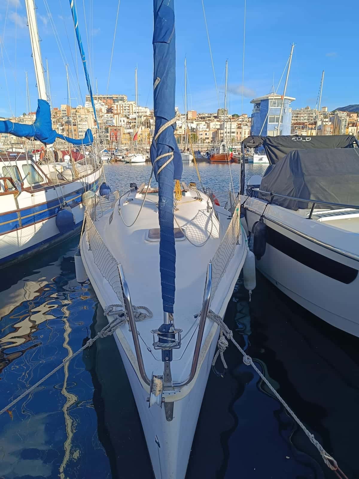 Astraea 260 - miniatura 2