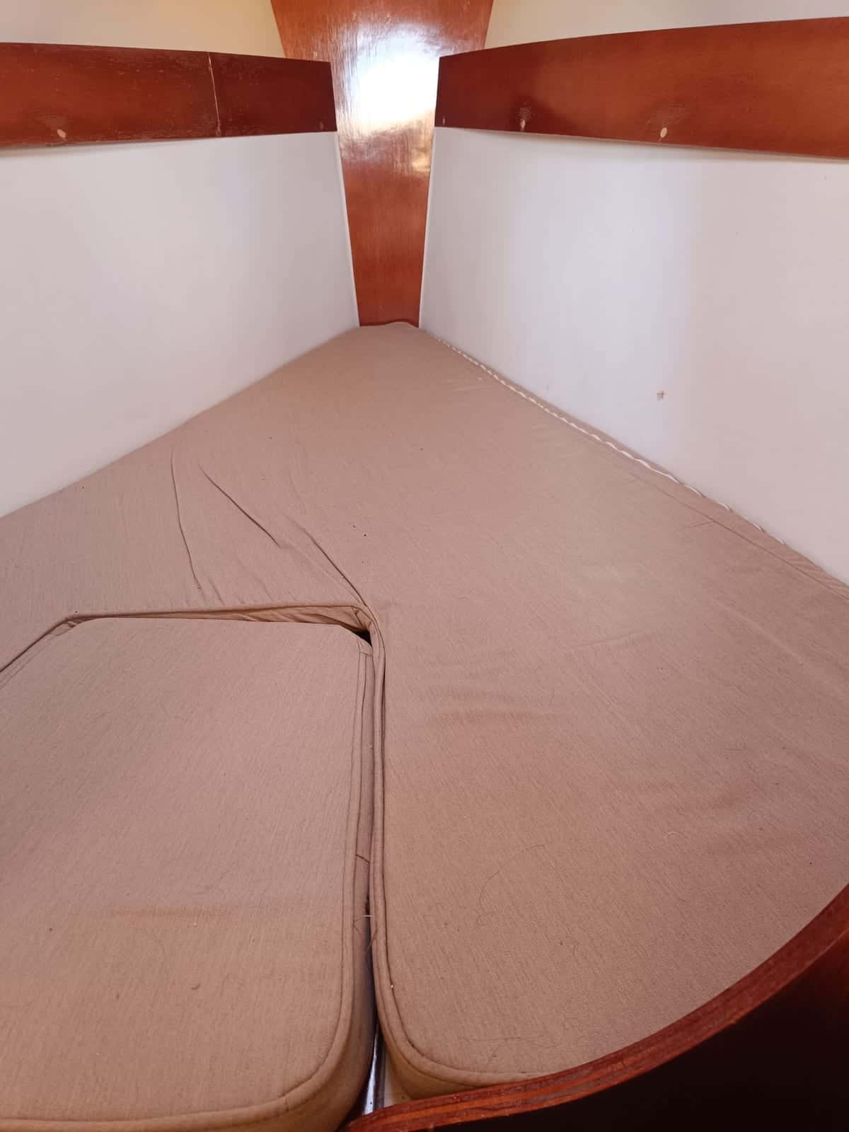 Astraea 260 - miniatura 13