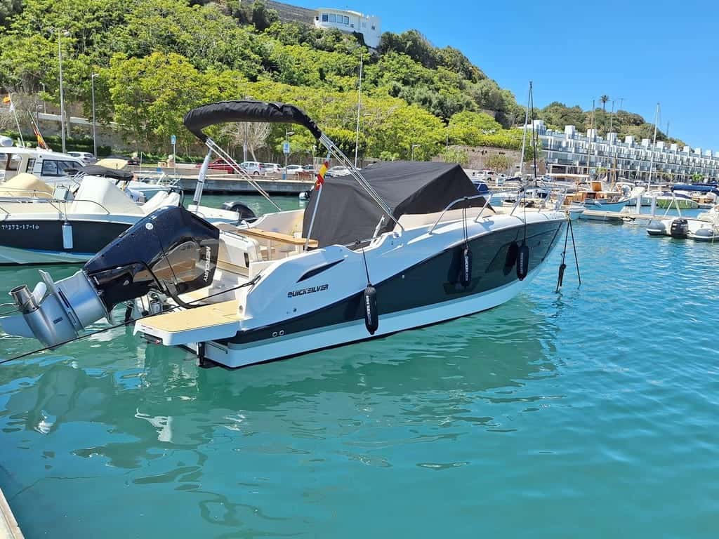 Quicksilver 875 sundeck