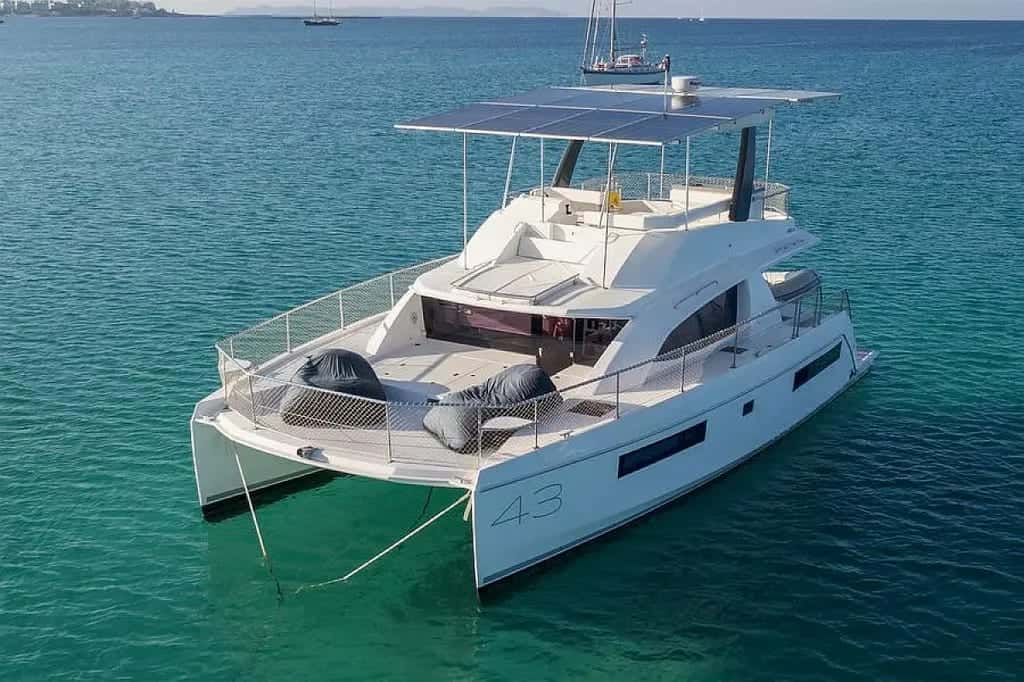 Leopard 43