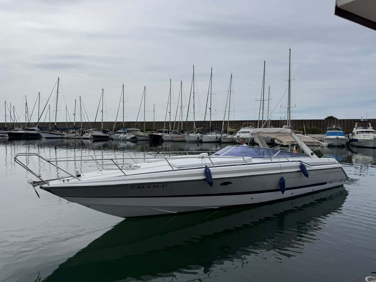 Sunseeker Tuntherhawk 43 - miniatura 3