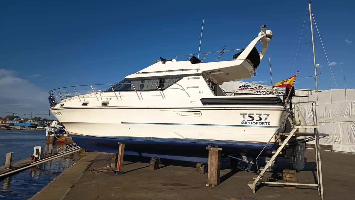 BIRCHWOOD 37 TS - miniatura 2