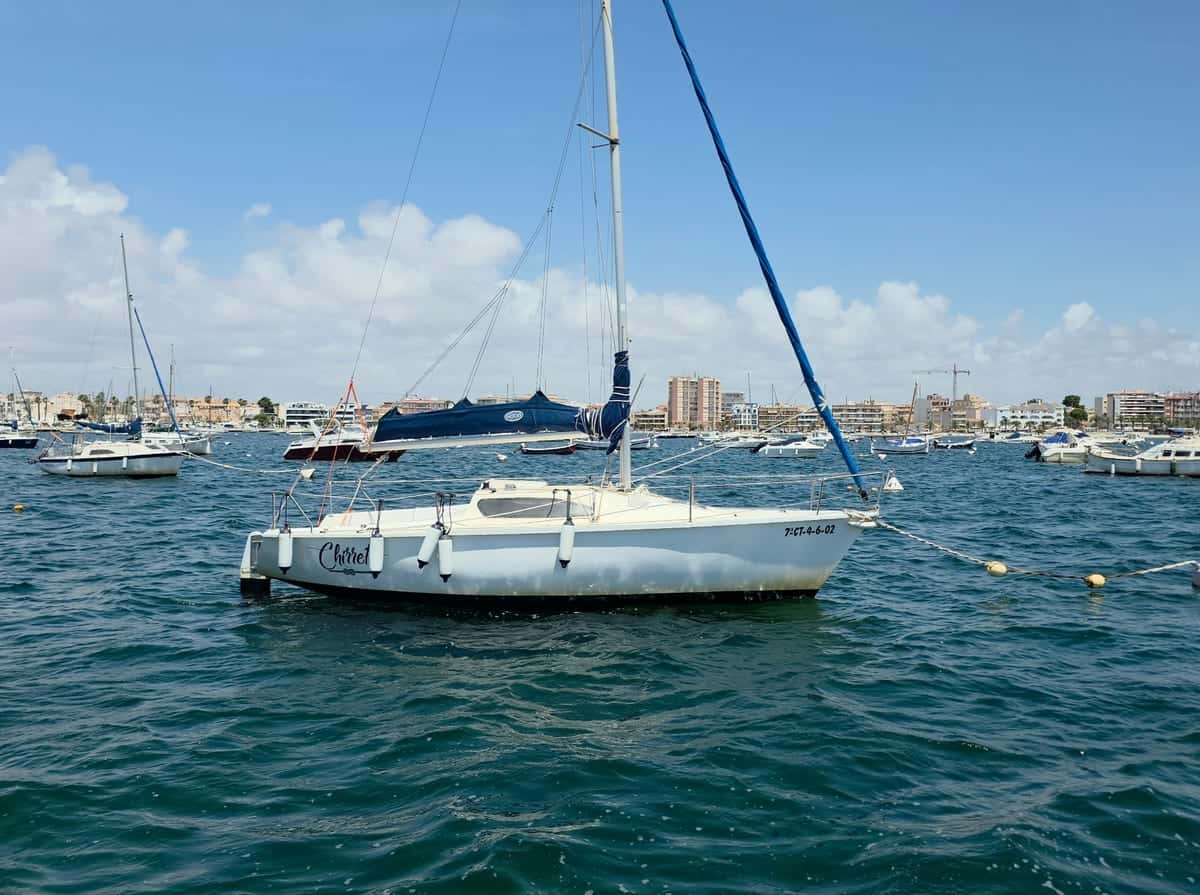 Serviola 23