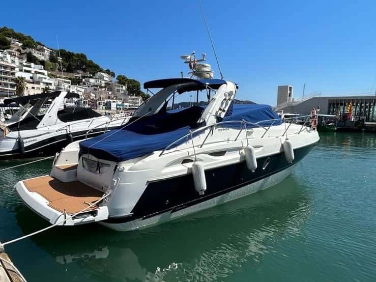 Cranchi Endurance 41 - miniatura 28