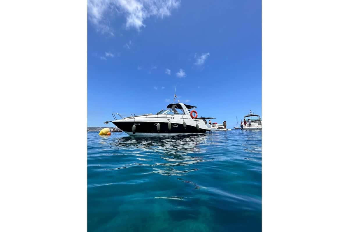 Rinker 260 Express Cruiser - miniatura 7