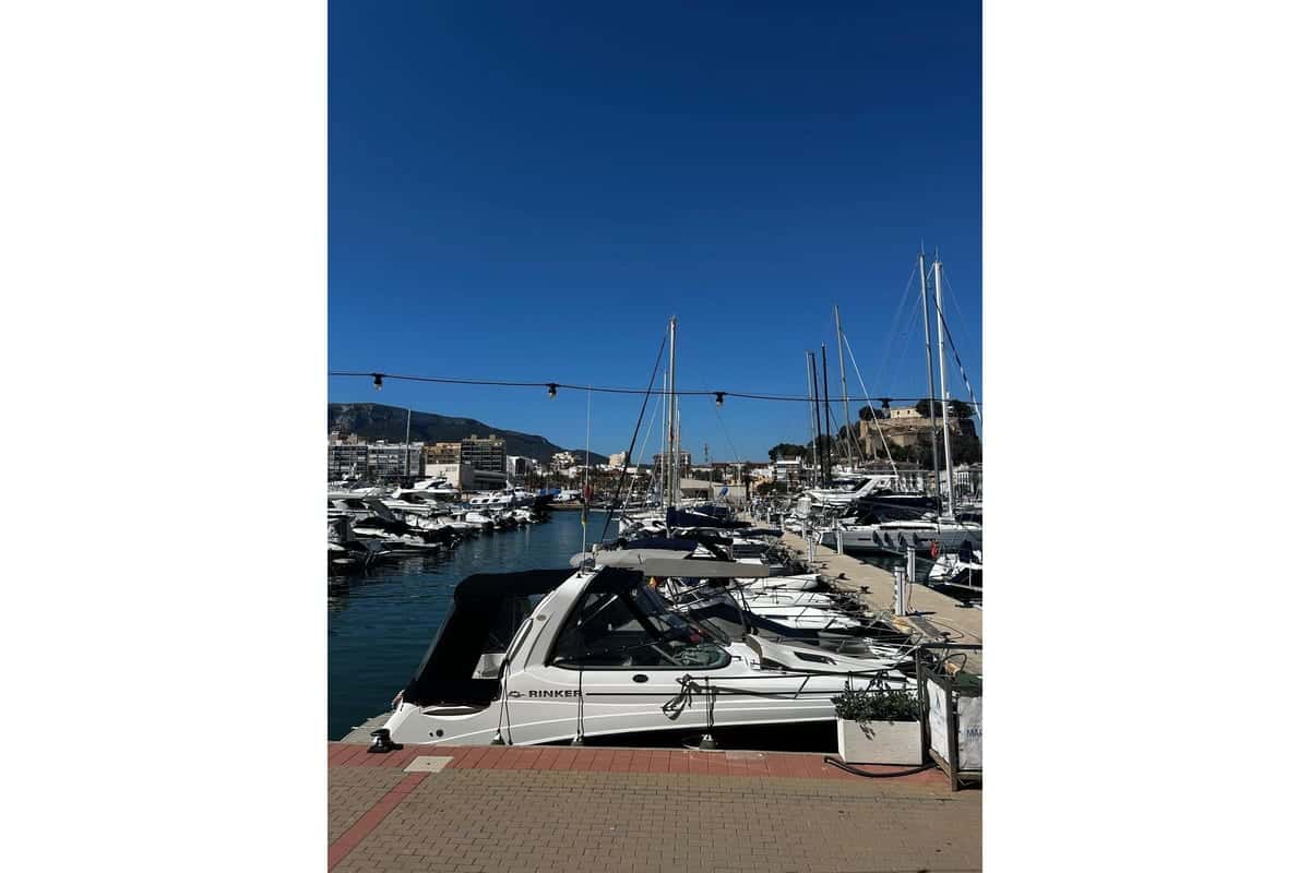 Rinker 260 Express Cruiser - miniatura 6
