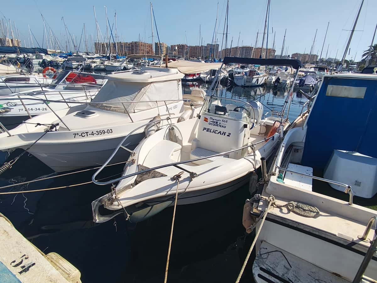 Ocqueteau 565 Open