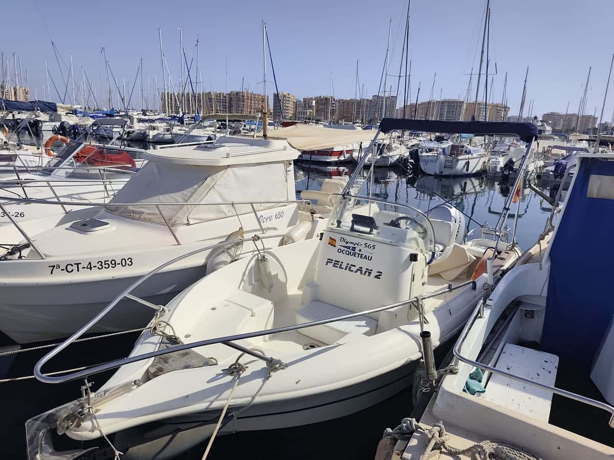 Ocqueteau 565 Open - miniatura 2