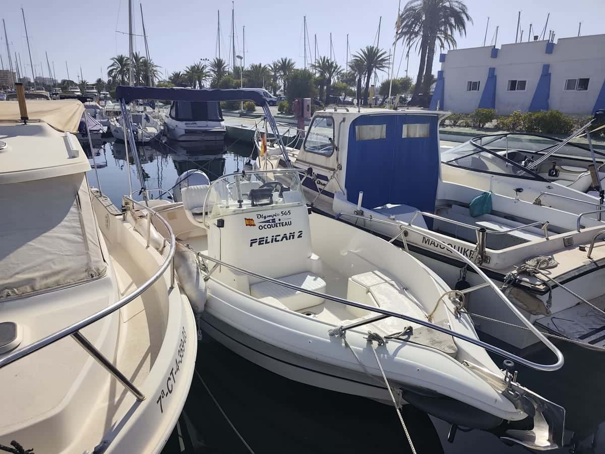 Ocqueteau 565 Open - miniatura 4