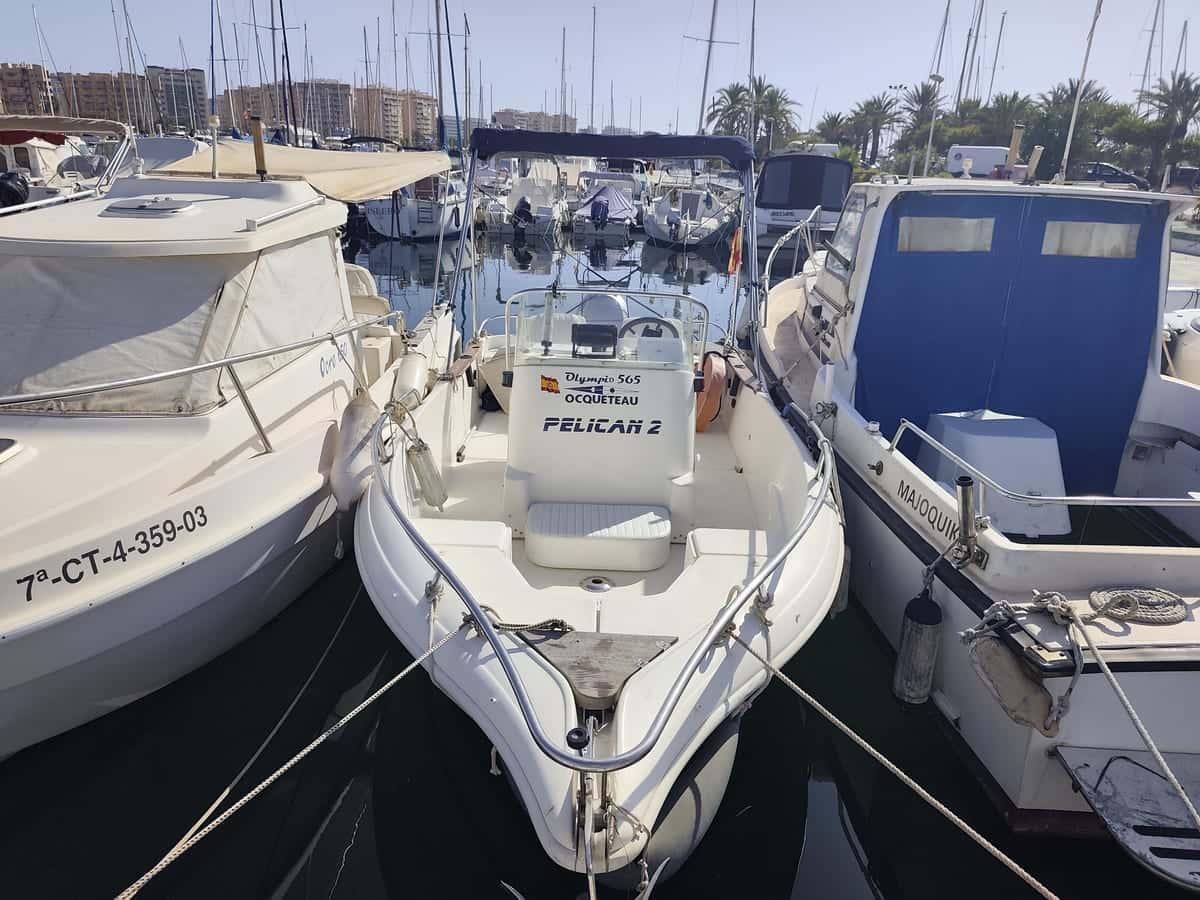 Ocqueteau 565 Open - miniatura 3