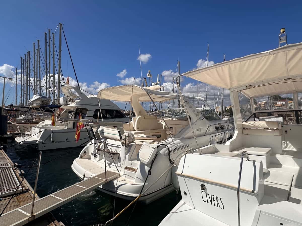 Sealine 360 Ambassador - miniatura 3