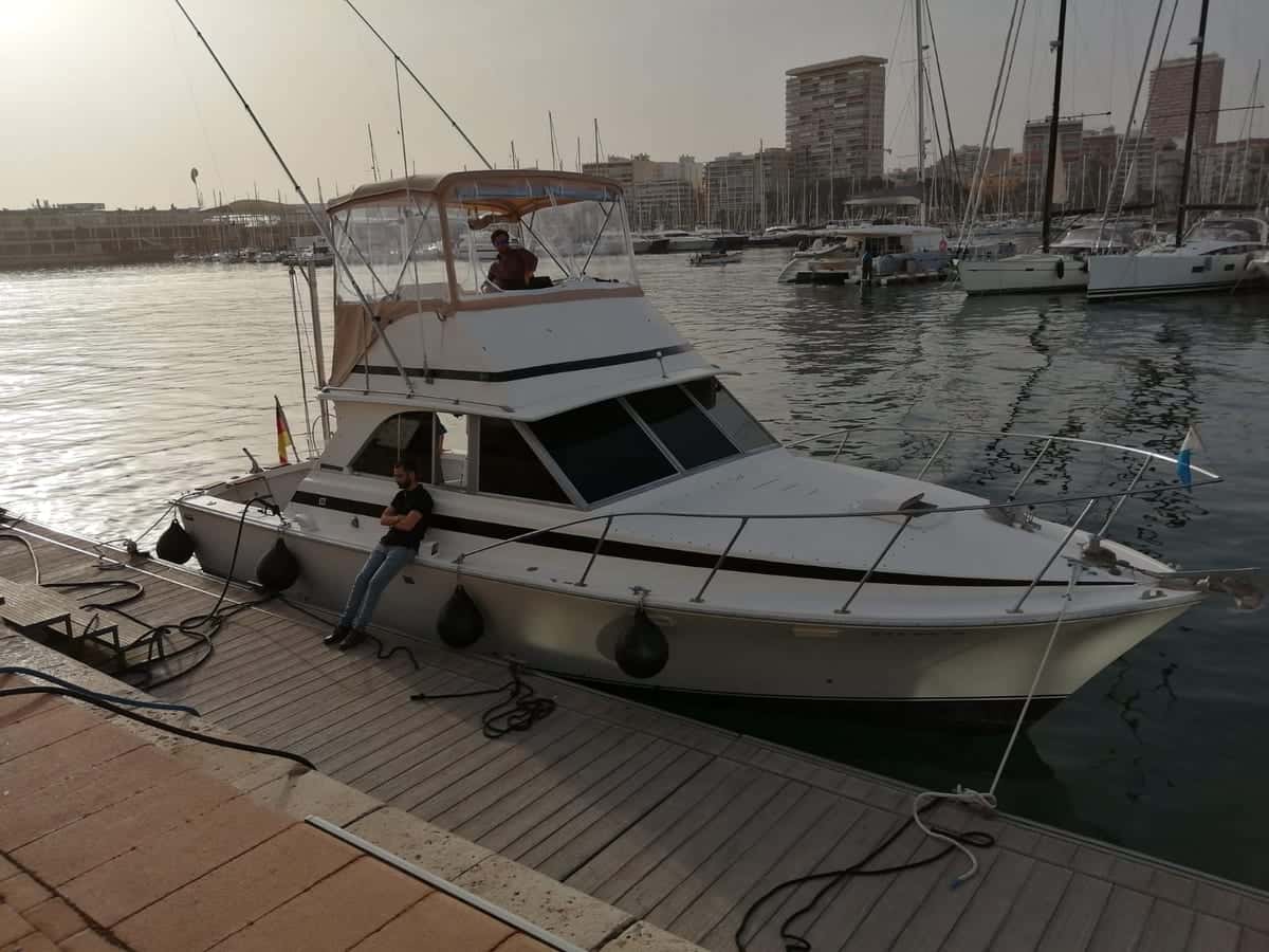 BERTRAm 35 - miniatura 2
