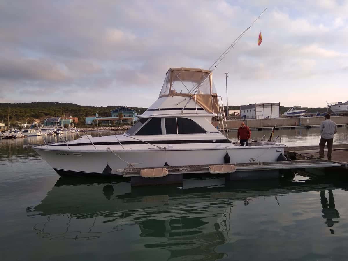 BERTRAm 35 - miniatura 3