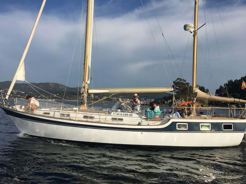 Anne Wever-KETCH TRINTELLA IV - miniatura 3