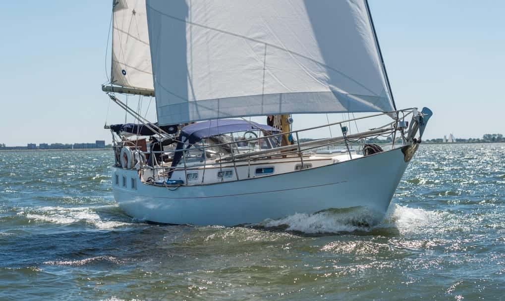 Anne Wever-KETCH TRINTELLA IV - miniatura 6