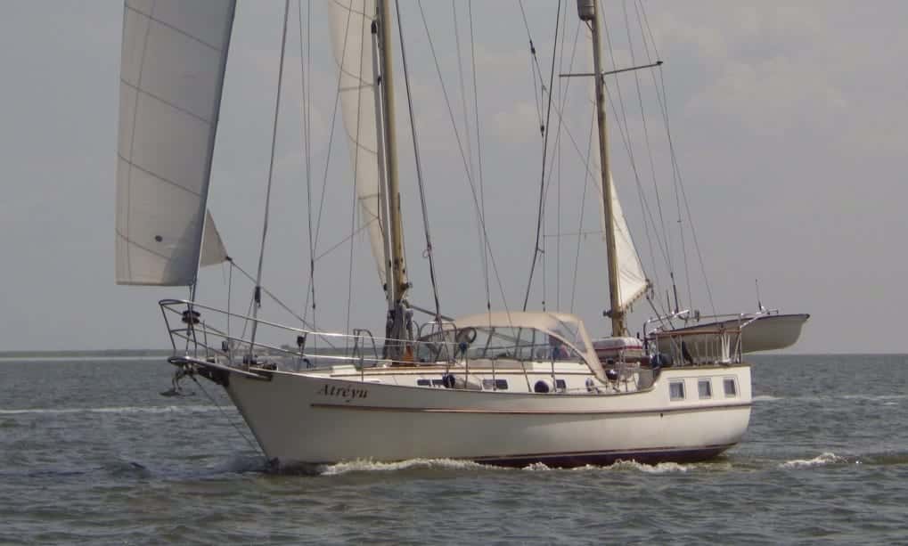 Anne Wever-KETCH TRINTELLA IV - miniatura 7