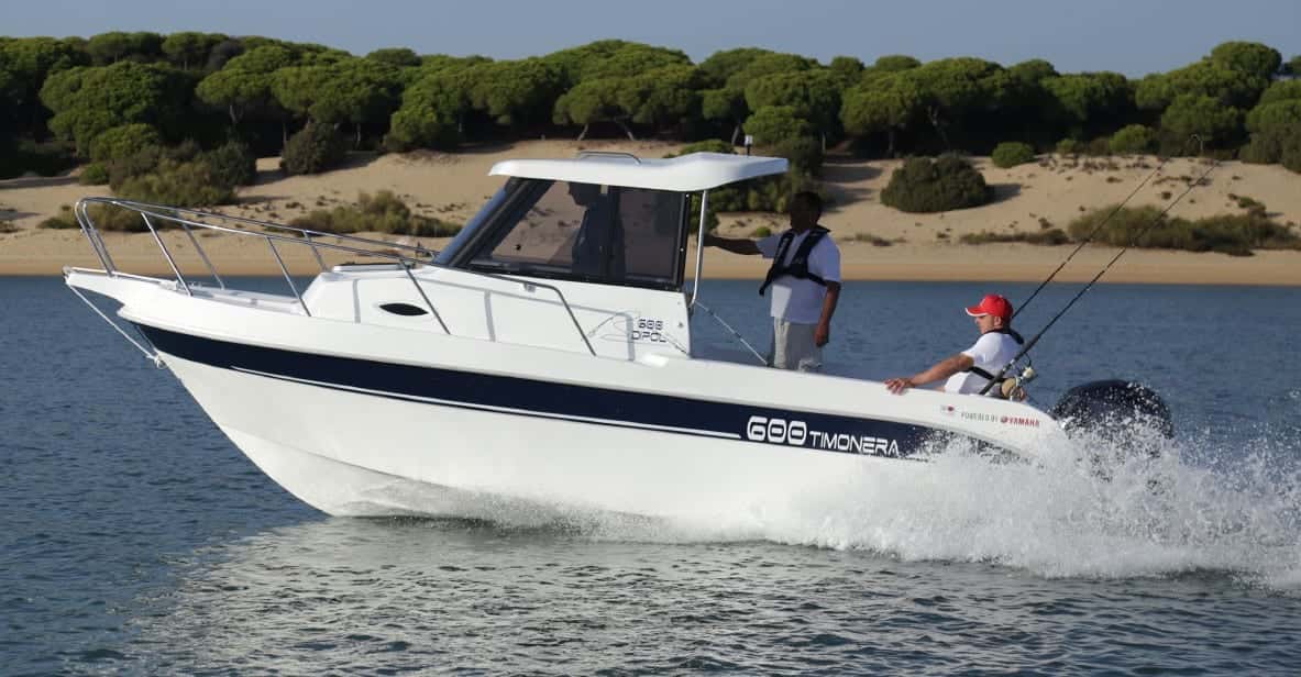 dipol 600 timoner - miniatura 8