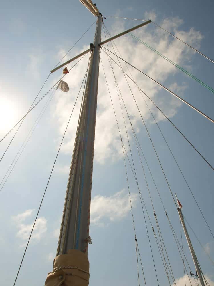 Ravell Regent - miniatura 28