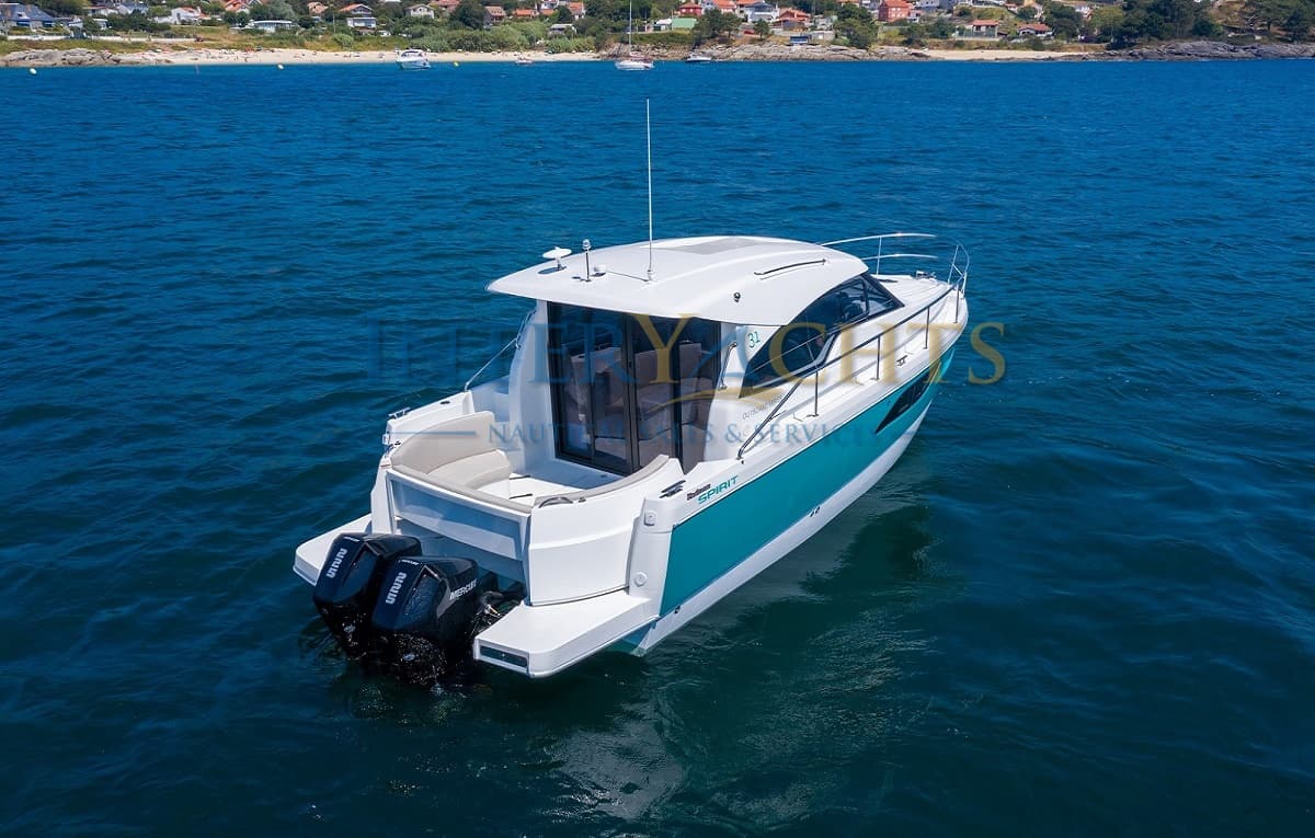 RODMAN 31 SPIRIT - miniatura 3