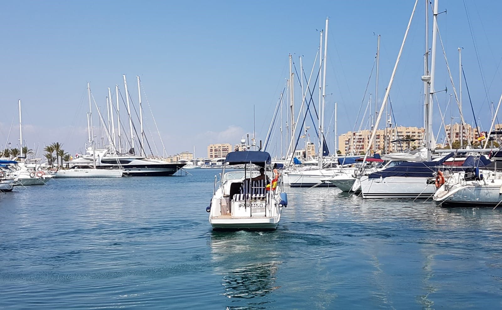 SEALINE S23 - miniatura 2