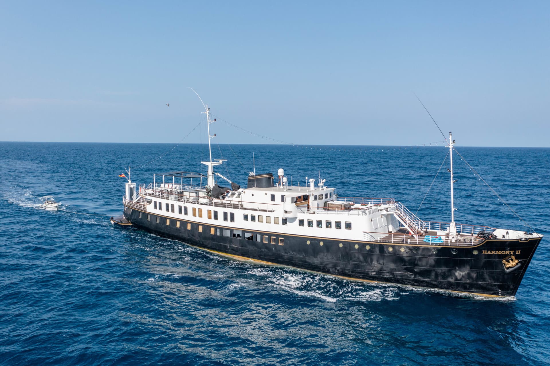 Harmony II - miniatura 8