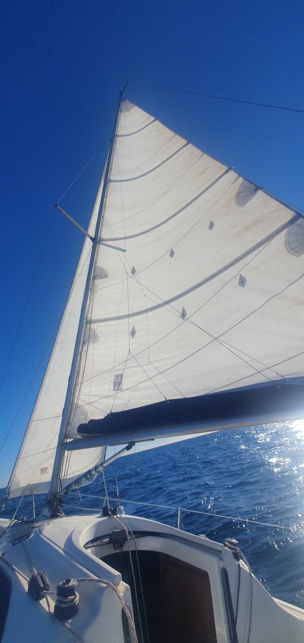 Decision Viva 24 - miniatura 2