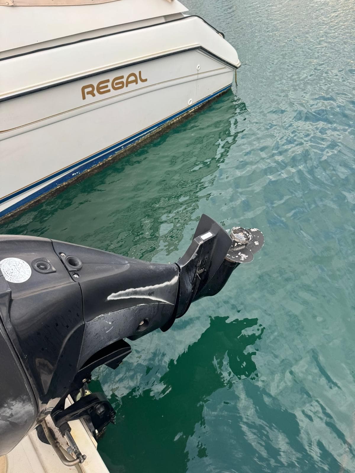 Quicksilver 470 Cruiser - miniatura 14