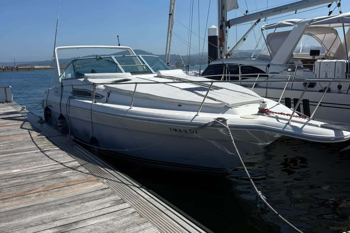 Sea Ray 310 Sundancer