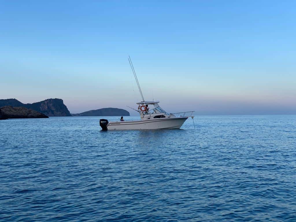 Grady White Sailfish 282